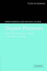  Dispute Processes