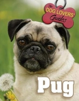  Pug