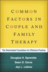  Common Factors in Couple and Family Therapy