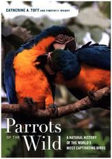  Parrots of the Wild
