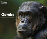  Tales from Gombe