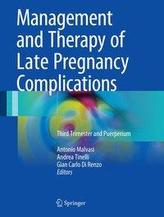  Management and Therapy of Late Pregnancy Complications