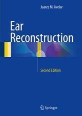  Ear Reconstruction