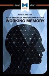  Working Memory