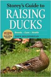  Storeys Guide to Raising Ducks
