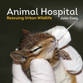  Animal Hospital