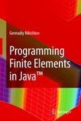  Programming Finite Elements in Java (TM)