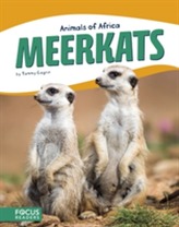  Animals of Africa: Meerkats