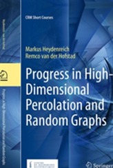  Progress in High-Dimensional Percolation and Random Graphs