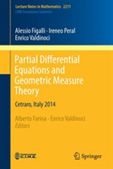  Partial Differential Equations and Geometric Measure Theory