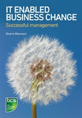  IT-Enabled Business Change