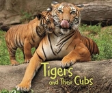  Tigers and Their Cubs