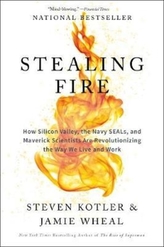  Stealing Fire