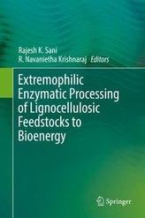 Extremophilic Enzymatic Processing of Lignocellulosic Feedstocks to Bioenergy