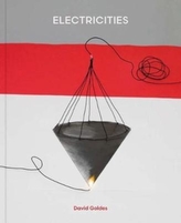  David Goldes: Electricities