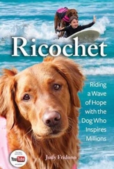 Ricochet