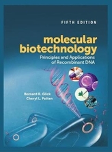  Molecular Biotechnology