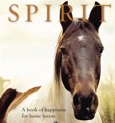  Spirit
