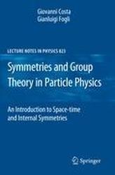  Symmetries and Group Theory in Particle Physics