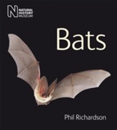  Bats