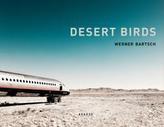  Desert Birds