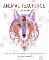  Animal Teachings