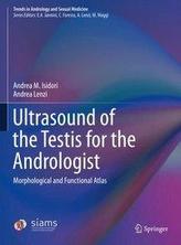  Ultrasound of the Testis for the Andrologist