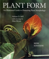  Plant Form