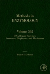  DNA Repair Enzymes: Structure, Biophysics, and Mechanism