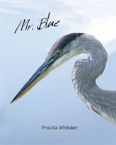  Mr. Blue