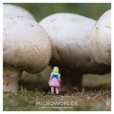  Microworlds