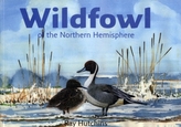  Wildfowl of the Northern Hemisphere