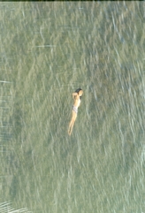 Richard Misrach:The Mysterious Opacity of Other Beings