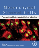  Mesenchymal Stromal Cells