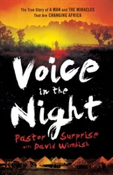  Voice in the Night