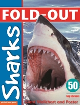  Fold-Out Sharks Sticker Book