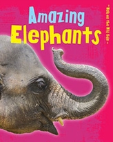  Amazing Elephants