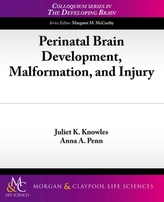  Perinatal Brain Development, Malformation, and Injury