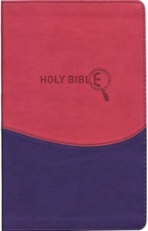  NRSV Kids Study Bible with the Apocrypha