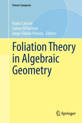  Foliation Theory in Algebraic Geometry