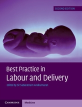  Best Practice in Labour and Delivery