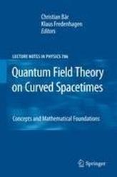  Quantum Field Theory on Curved Spacetimes