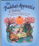  Buddha's Apprentice at Bedtime