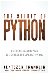 The Spirit of Python