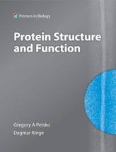  Protein Structure and Function