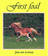  First Foal