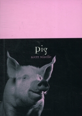  Pig