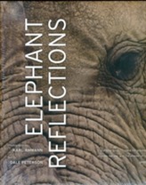  Elephant Reflections