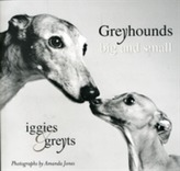  Greyhounds Big And Small