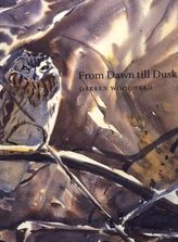  From Dawn Till Dusk